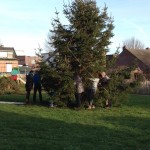 kerstboom 20151